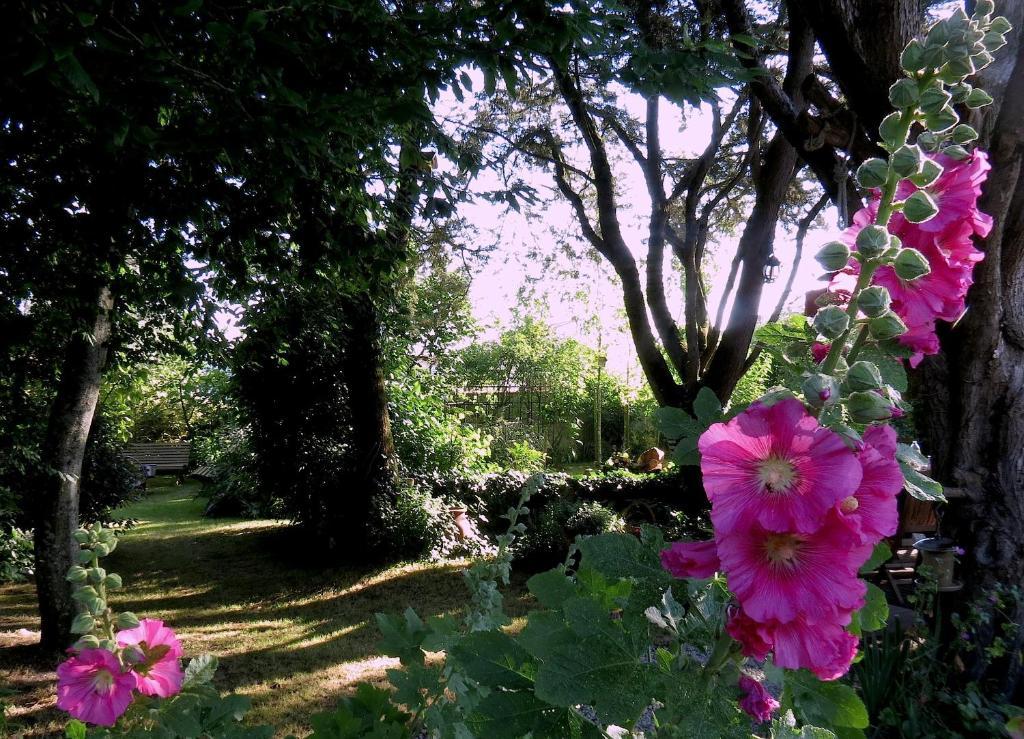 La Claverie Bed & Breakfast